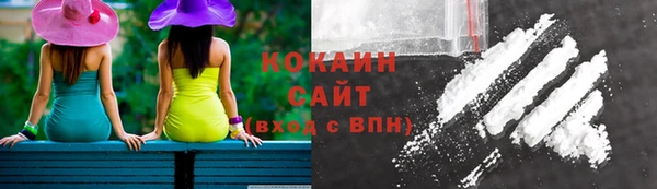 ГАЛЛЮЦИНОГЕННЫЕ ГРИБЫ Балахна
