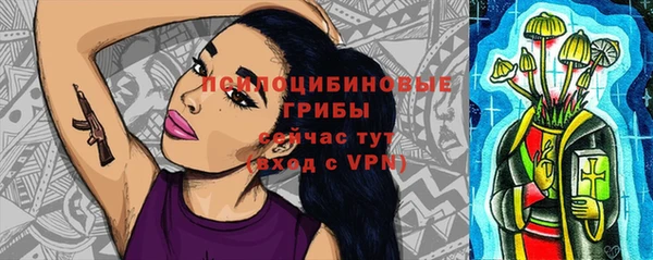 ГАЛЛЮЦИНОГЕННЫЕ ГРИБЫ Балахна