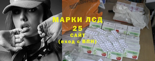 ГАЛЛЮЦИНОГЕННЫЕ ГРИБЫ Балахна